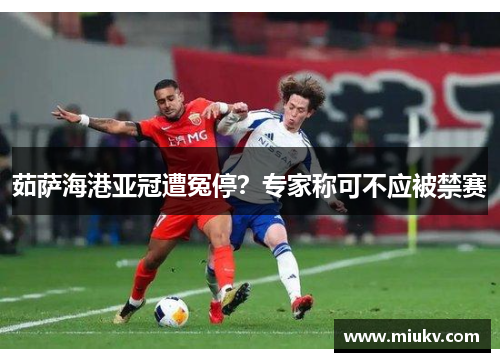 茹萨海港亚冠遭冤停？专家称可不应被禁赛